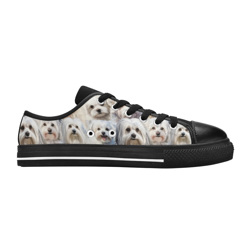 Maltese Terrier - Low Top Shoes