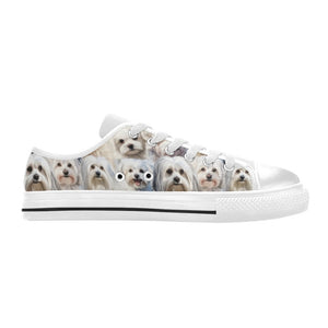 Maltese Terrier - Low Top Shoes