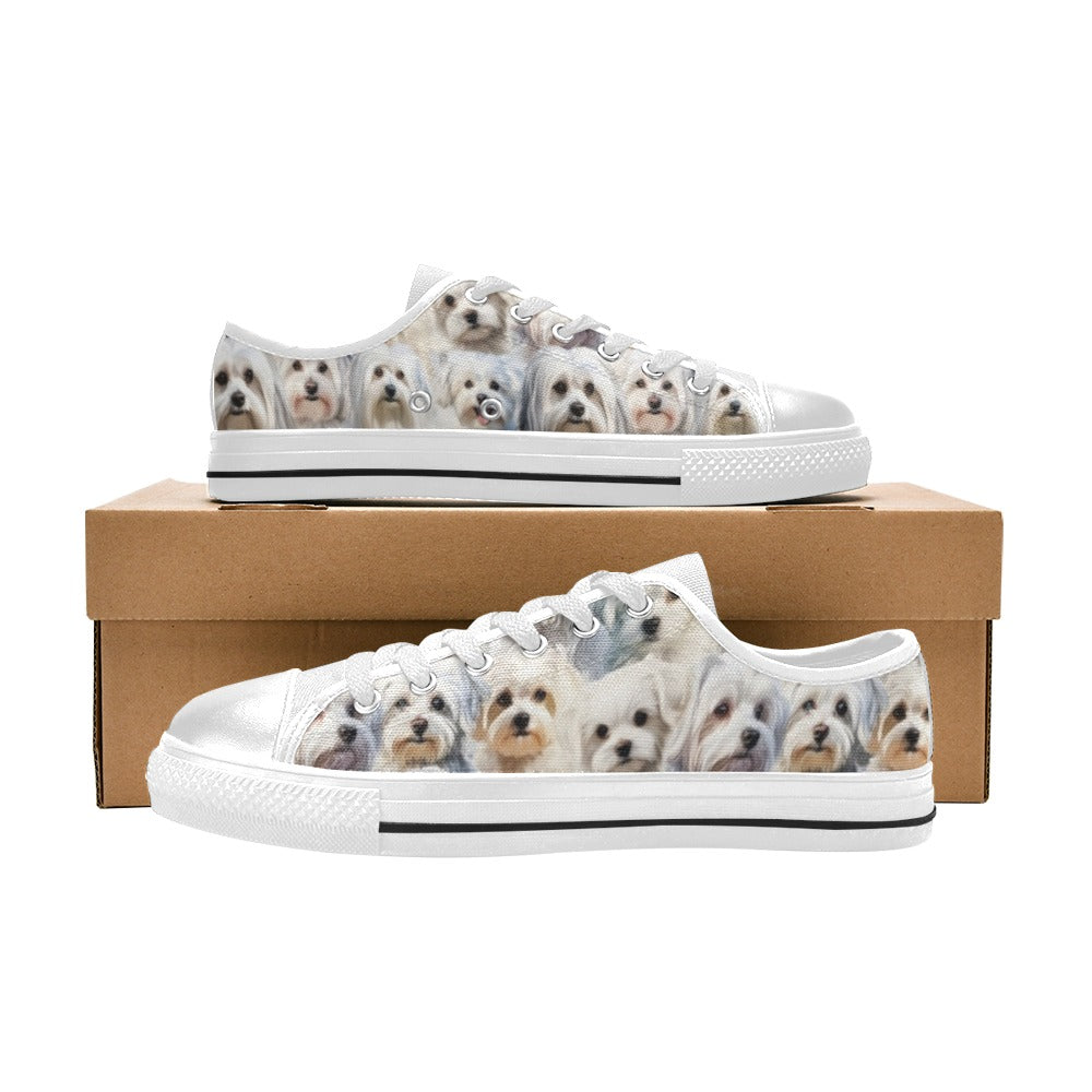 Maltese Terrier - Low Top Shoes