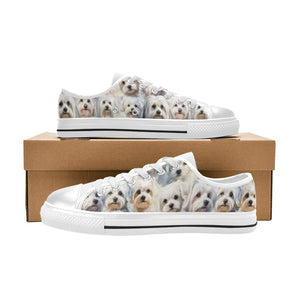 Maltese Terrier - Low Top Shoes