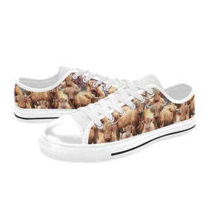 Highland Cows - Low Top Shoes