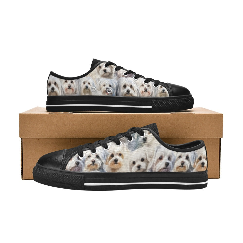 Maltese Terrier - Low Top Shoes