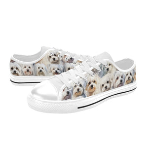 Maltese Terrier - Low Top Shoes