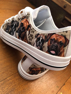 Boxer - Low Top Shoes